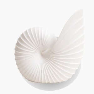 Sea Shell